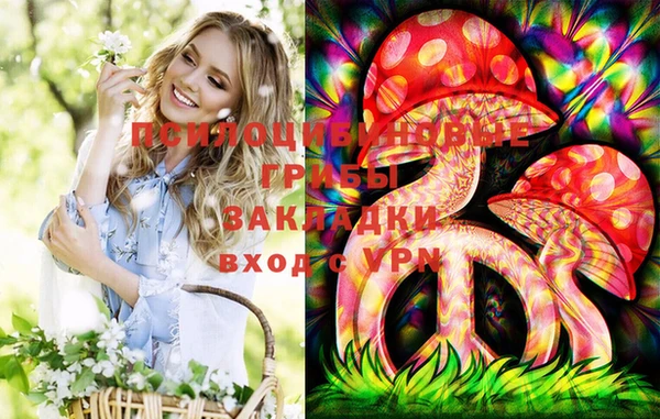экстази Дегтярск