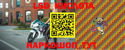 амф Гатчина