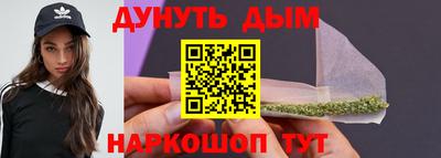 амф Гатчина