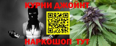 крисы Гагарин