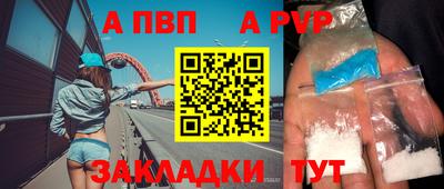крисы Гагарин