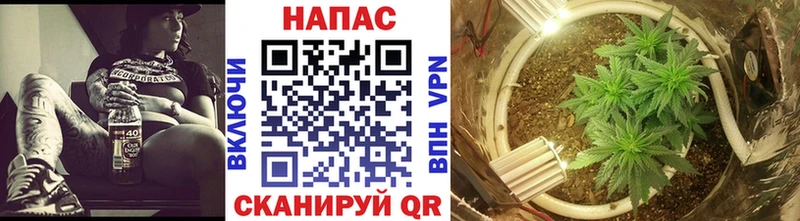 blacksprut зеркало  Приморско-Ахтарск  Бошки Шишки Amnesia  наркошоп 